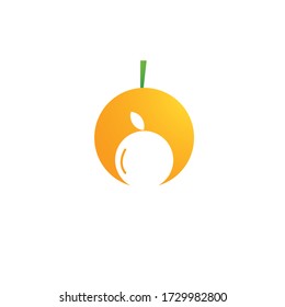 Fresh Orange juice ilustration vector template