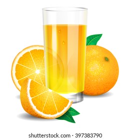 Fresh orange juice and pieces of orange, citrus juice and oranges. Realistic transparent glass of juice, vector illustration on white background