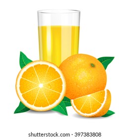 Fresh orange juice and pieces of orange, citrus juice and oranges. Realistic transparent glass of juice, vector illustration on white background