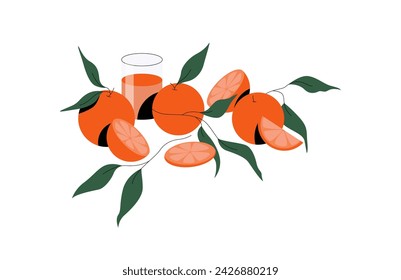 Fresh Orange Juice Squeezed in Glass with Fruit and Leafy Stem Vector Composition. Tasty Citrus Garden Fresh Food