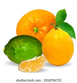 Fresh orange, nutritious lemon and tasty limes. Symbols of fruits. Vector illustration. Fruits ingredients in triangulation technique. Fruits low poly.