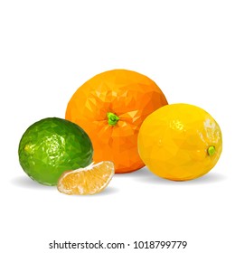 Fresh orange, nutritious lemon and tasty limes. Symbols of fruits. Vector illustration. Fruits ingredients in triangulation technique. Fruits low poly.