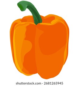 Vetor vegetal de paprica laranja fresco isolado no branco, Uma ilustração de vetor de paprica laranja brilhante