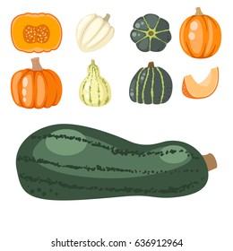 Fresh orange pumpkin decorative seasonal ripe food organic healthy vegetarian vegetable vector