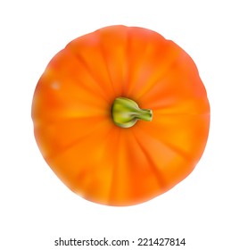 Fresh Orange Pumpkin Isolated on White Background Vector Illustration
