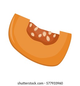Fresh orange pumpkin vegetable isolated vector illustration.