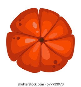 Fresh orange pumpkin vegetable isolated vector illustration.