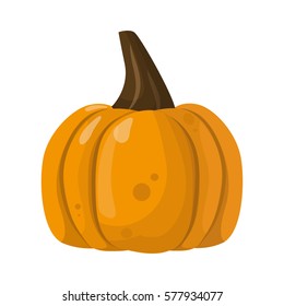 Fresh orange pumpkin vegetable isolated vector illustration.