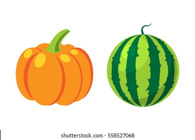 Fresh orange pumpkin and watermelon isolated vector illustration.