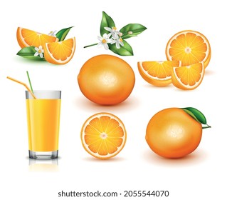 Frische orangefarbene, realistische Set mit einzeln stehenden ganzen Fruchthalfen und Scheiben, Blumenglas mit Strohhalmen, Vektorgrafik