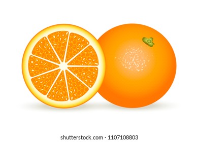 Fresh orange in realistic style. Vector illustration isolated on white background.