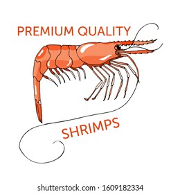 Fresh orange shrimp, organic seafood. Delicious gourmet dish. Flat cartoon style logo, clip art.