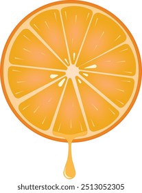 fresh orange slice vector illustration