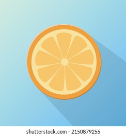 A fresh orange slice vector image