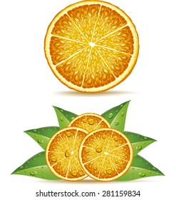 fresh orange slices with leafs and juice drops