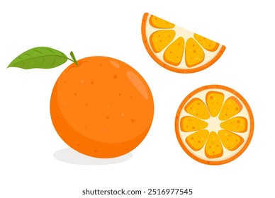 Fresh orange with slices. Vector illustration isolated