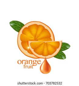 fresh orange vector 