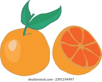 fresh orange vector design. lemon. illustration vector design