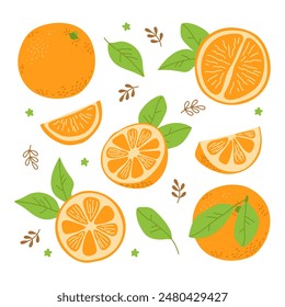 Naranja fresca entera, completa, media, pedazo, hoja. Juego de frutas. Ilustración vectorial a mano alzada aislada en blanco