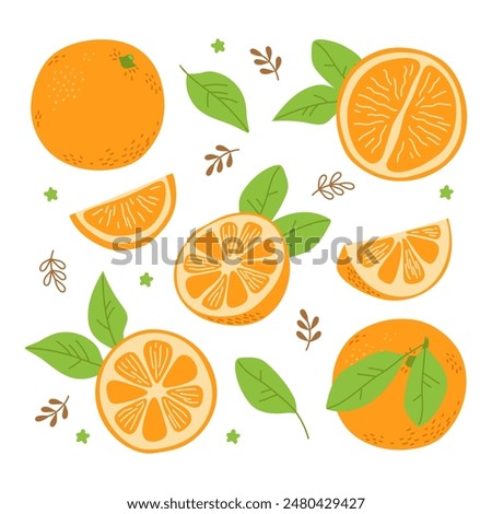 Fresh orange whole, full, half, piece, leaf. Fruit set. Freehand vector illustration isolated on white