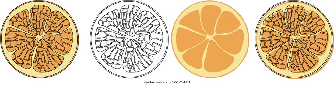 Fresh oranges for fabric, drawing labels, print on t-shirt, wallpaper of children's room. Slices of orange cartoon style isolated on white background
