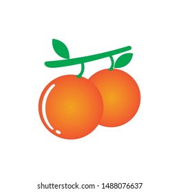 fresh oranges fruit logo vector