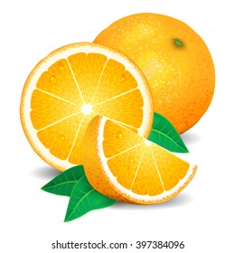 Fresh oranges fruit, pieces of orange. Realistic oranges, vector illustration on white background