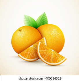 Fresh oranges fruits with green leaves and slices eps10 vector illustration