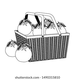 fresh oranges fruits in straw basket