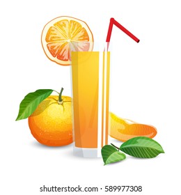 Fresh oranges and juice in glass on high detailed vector illustration