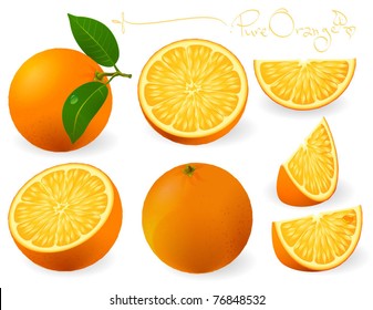 Fresh oranges with leaves and orange slices. Vector.