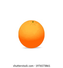 fresh oranges on a white background vector realistic
