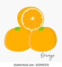 fresh oranges and sliced orange vector