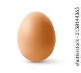 Fresh Organic Chicken Egg. Realistic Chicken Brown Egg with Shadow Effects. Isolated on White Background