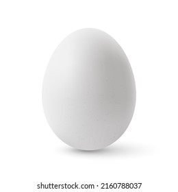 Fresh Organic Chicken Egg. Realistic Chicken Egg with Shadow Effects. Isolated on White Background