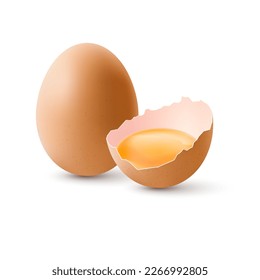 Fresh Organic Chicken Eggs on White Background. The Egg is Half Broken in the Shell and a Whole Large Brown Egg.