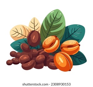 Icono de café orgánico y hoja frescos aislado
