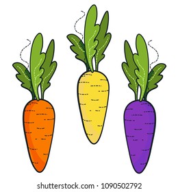 Fresh organic colorfull carrot isolated on white background
