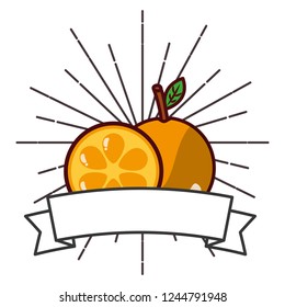 fresh organic fruit orange banner