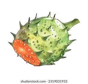 Fresh organic fruit sketch illustration icon isolated