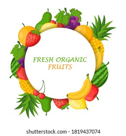 Fresh organic fruits isolated on white background concept. Vector illustration