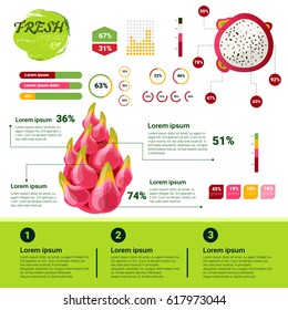 Fresh Organic Infographics Natural Fruits Growth, Agriculture And Farming Flat Vector Illustration
