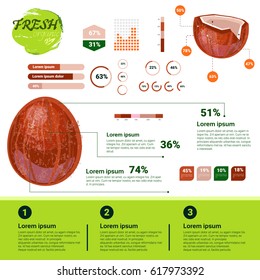 Fresh Organic Infographics Natural Fruits Growth, Agriculture And Farming Flat Vector Illustration
