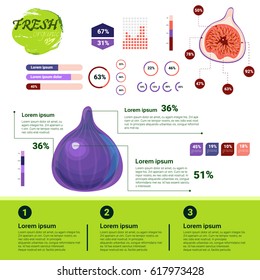 Fresh Organic Infographics Natural Fruits Growth, Agriculture And Farming Flat Vector Illustration