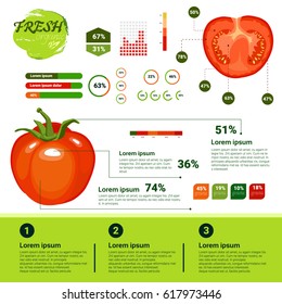 Fresh Organic Infographics Natural Vagetables Growth, Agriculture And Farming Flat Vector Illustration