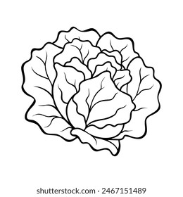 Fresh organic lettuce, contour drawing, healthy meal option icon isolated. Vector illustration