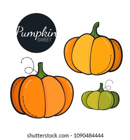 Fresh organic pumpkin isolated on white background