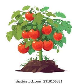 Frisches Bio-Reif-Tomatenbaum-Symbol einzeln