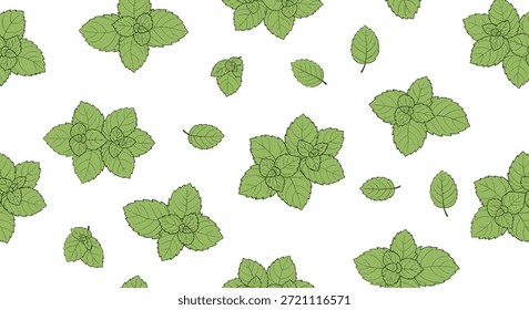 Patrón fresco y orgánico sin fisuras de hojas de menta verde dispersas sobre un fondo blanco para temas de empaque de alimentos herbales y saludables.