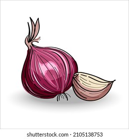 Fresh organic shallot and garlic isolated on a white background. Vector illustration.